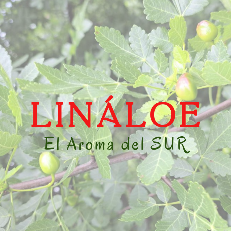 Lináloe El aroma del SUR